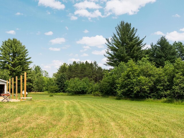 5321 S Jeffs Rd, Falmouth, MI 49632 - photo 34