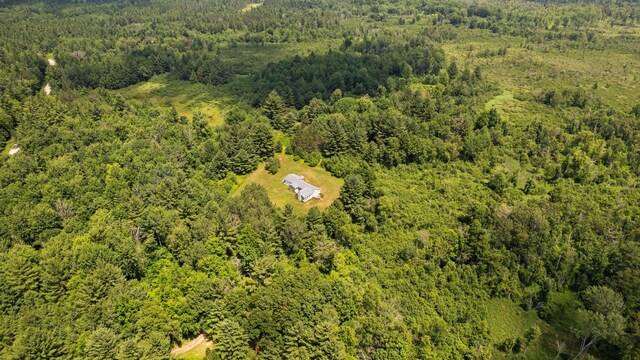5321 S Jeffs Rd, Falmouth, MI 49632 - photo 4