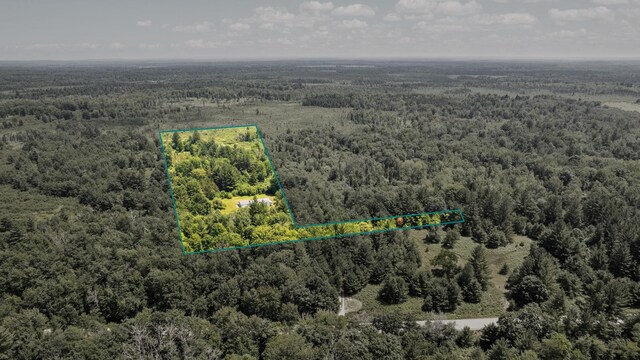 5321 S Jeffs Rd, Falmouth, MI 49632 - photo 42