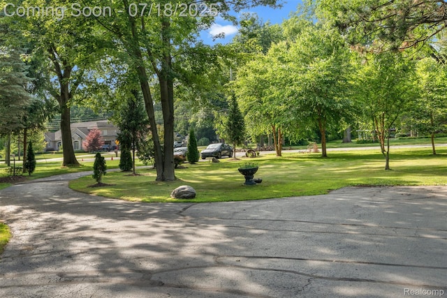 15844 Millar Rd, Shelby Twp, MI 48036 - photo 6
