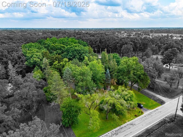 15844 Millar Rd, Shelby Twp, MI 48036 - photo 37