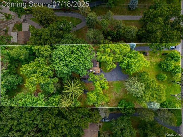 15844 Millar Rd, Shelby Twp, MI 48036 - photo 39