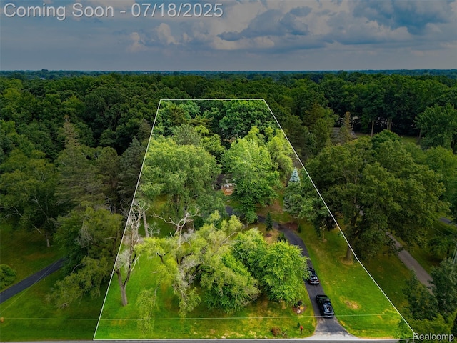 15844 Millar Rd, Shelby Twp, MI 48036 - photo 35