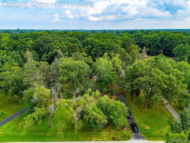 15844 Millar Rd, Shelby Twp, MI 48036 - photo 36