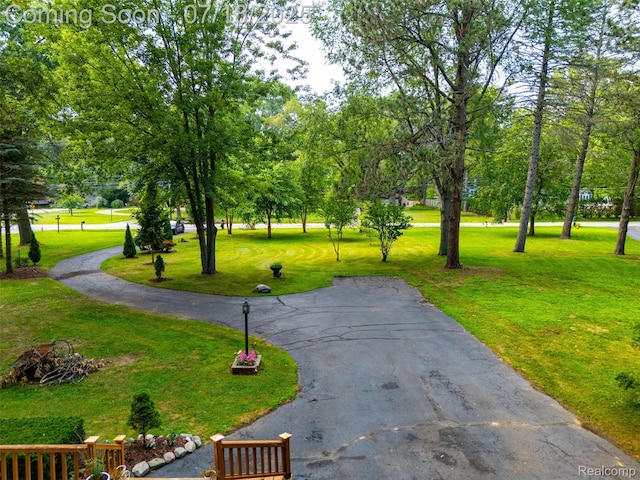 15844 Millar Rd, Shelby Twp, MI 48036 - photo 34