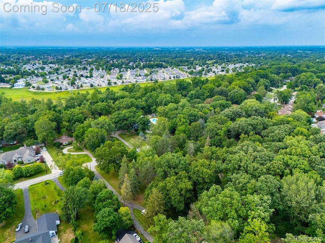 15844 Millar Rd, Shelby Twp, MI 48036 - photo 42