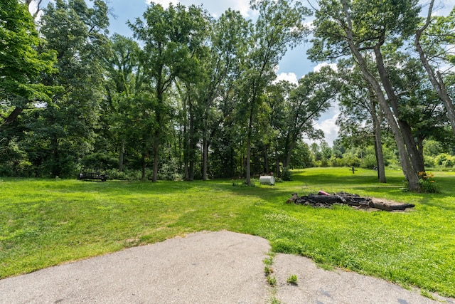 73541 39th St, Paw Paw, MI 49079 - photo 6