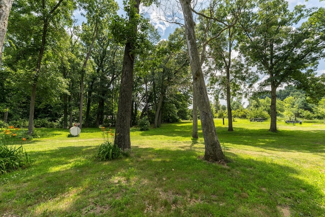 73541 39th St, Paw Paw, MI 49079 - photo 7
