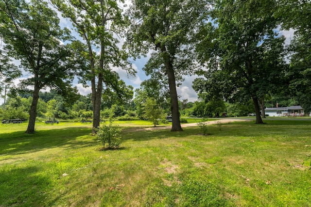 73541 39th St, Paw Paw, MI 49079 - photo 8