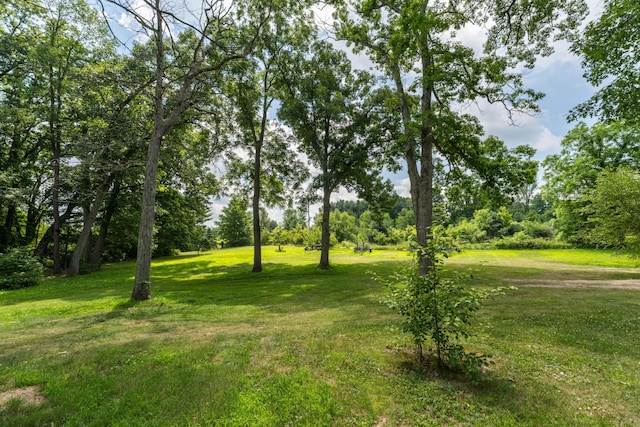 73541 39th St, Paw Paw, MI 49079 - photo 9