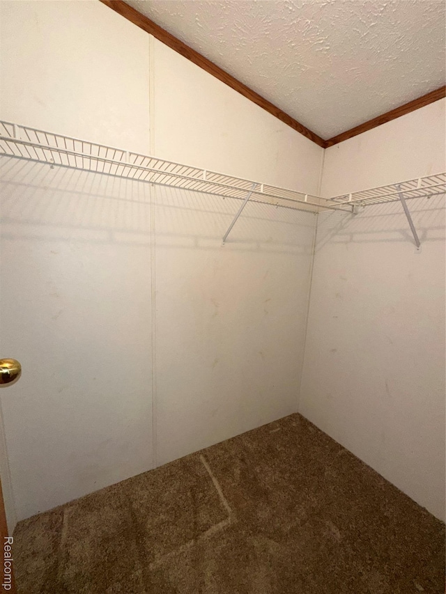 2505 Koylette Rd, Marlette, MI 48453 - photo 28