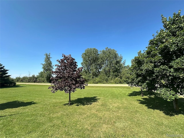 2505 Koylette Rd, Marlette, MI 48453 - photo 14