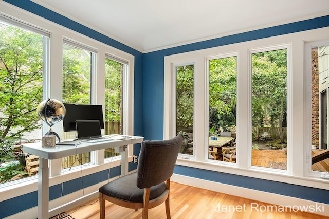 1055 San Lucia Dr SE, Grand Rapids, MI 49506 - office with plenty of natural light and wood finished floors