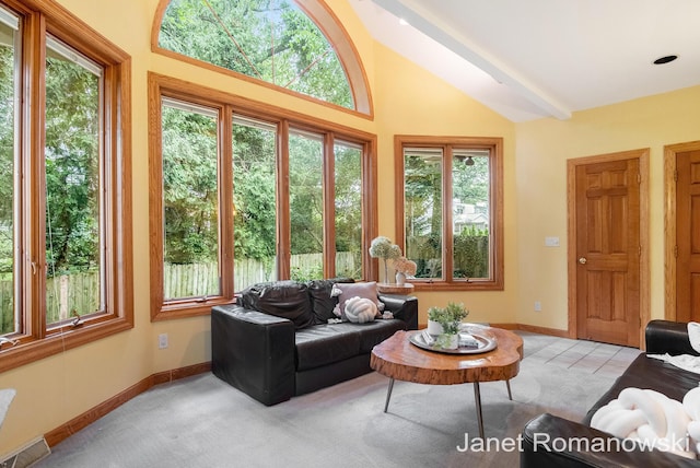 1055 San Lucia Dr SE, Grand Rapids, MI 49506 - living room featuring lofted ceiling and baseboards