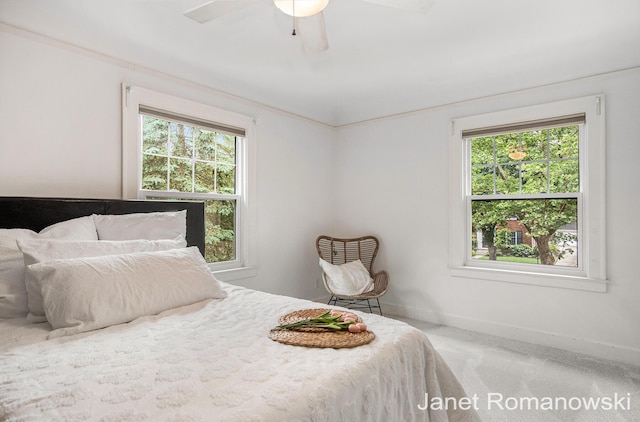 1055 San Lucia Dr SE, Grand Rapids, MI 49506 - bedroom with carpet floors and a ceiling fan