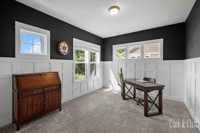 4454 Keena Ct NE Unit 71, Grand Rapids, MI 49525 - office with a decorative wall, wainscoting, and carpet flooring