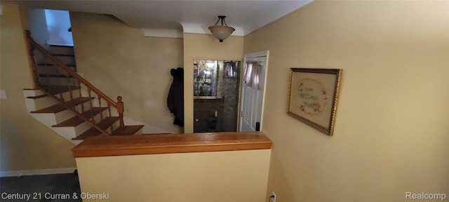 19381 Shadowoods, Roseville, MI 48066 - photo 17