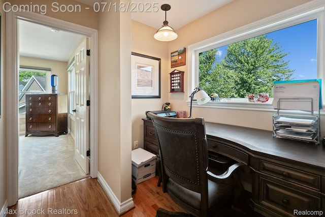 4295 Shoreview Ln, Whitmore Lake, MI 48189 - photo 35