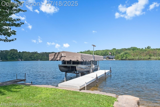 4295 Shoreview Ln, Whitmore Lake, MI 48189 - photo 59