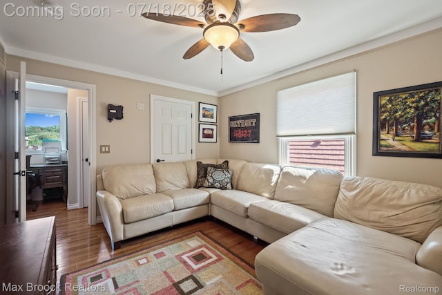 4295 Shoreview Ln, Whitmore Lake, MI 48189 - photo 41