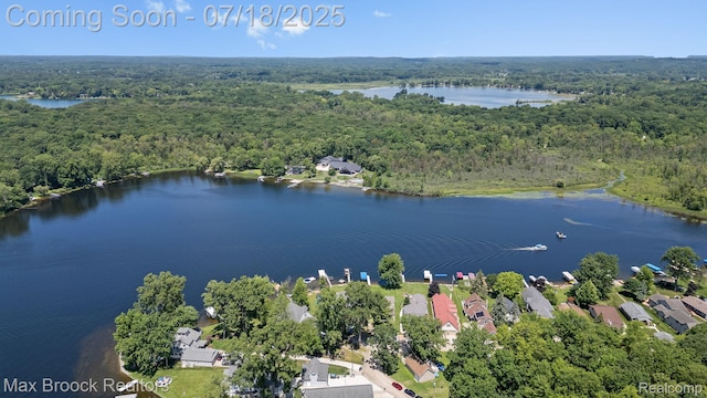 4295 Shoreview Ln, Whitmore Lake, MI 48189 - photo 69