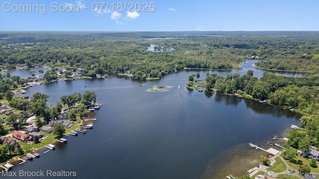 4295 Shoreview Ln, Whitmore Lake, MI 48189 - photo 66