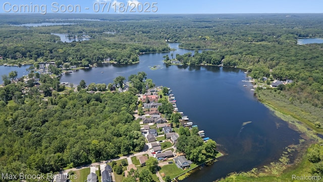 4295 Shoreview Ln, Whitmore Lake, MI 48189 - photo 64