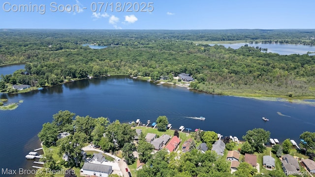 4295 Shoreview Ln, Whitmore Lake, MI 48189 - photo 68