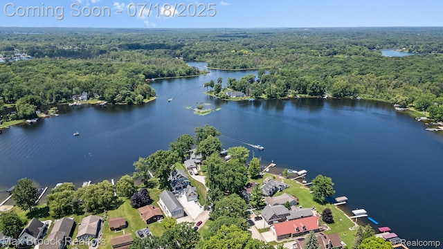 4295 Shoreview Ln, Whitmore Lake, MI 48189 - photo 67
