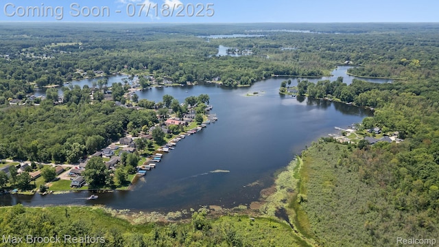 4295 Shoreview Ln, Whitmore Lake, MI 48189 - photo 65