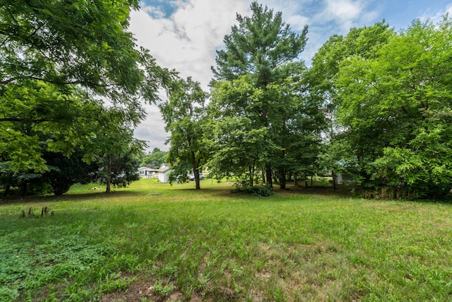 114 Mason St, Decatur, MI 49045 - photo 4