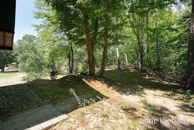 16549 Taft Rd, Spring Lake, MI 49456 - photo 12