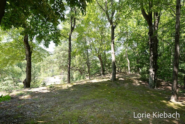 16549 Taft Rd, Spring Lake, MI 49456 - photo 14