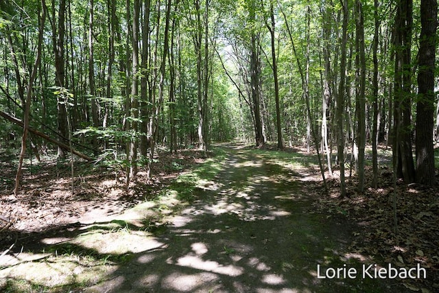 16549 Taft Rd, Spring Lake, MI 49456 - photo 19