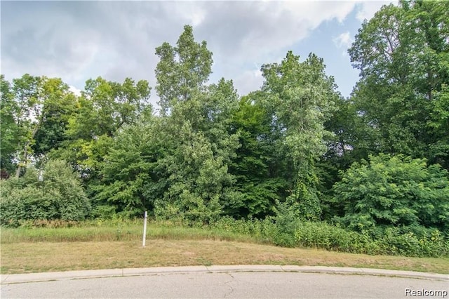 0000 W Crest Forest Ct E, Independence, MI 48348 - photo 2