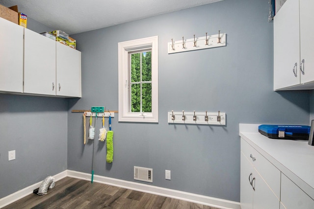 172 Bay Meadows Dr, Holland, MI 49424 - laundry room featuring dark wood-style floors and cabinet space