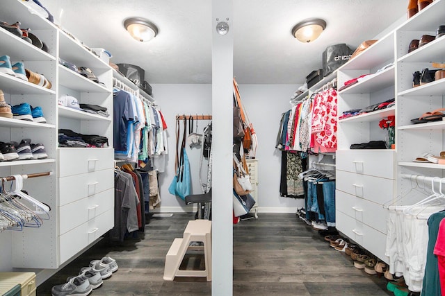 172 Bay Meadows Dr, Holland, MI 49424 - spacious closet with dark wood finished floors