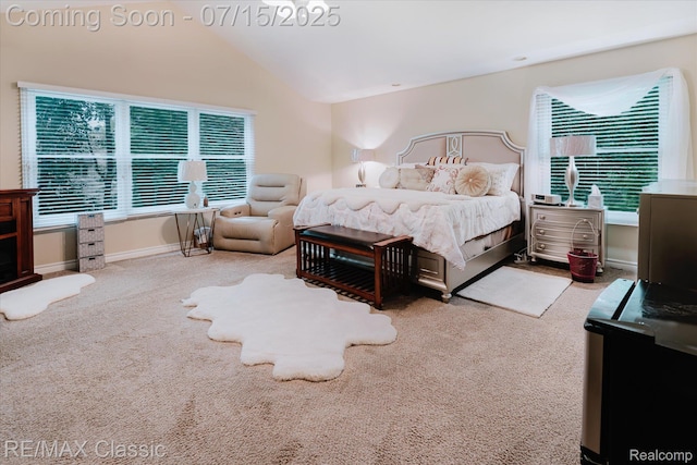1562 Eagle Trl, Oxford, MI 48371 - photo 31