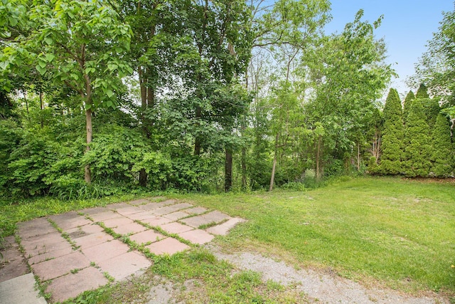 1019/1021 N Michigan Ave, Howell, MI 48843 - view of grassy yard