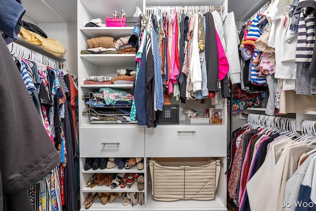 5362 Settlers Grove Rd NE, Belmont, MI 49306 - view of walk in closet
