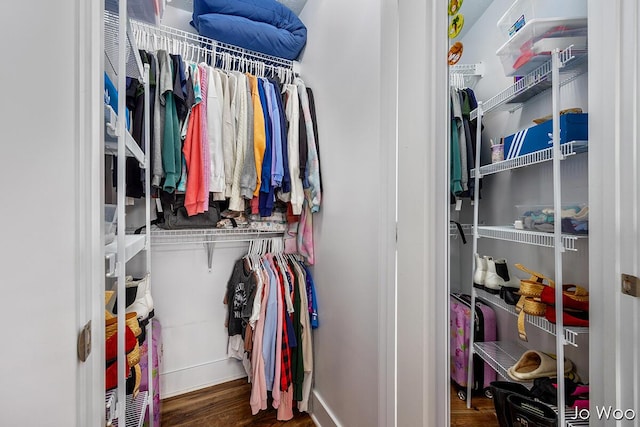 5362 Settlers Grove Rd NE, Belmont, MI 49306 - walk in closet featuring wood finished floors