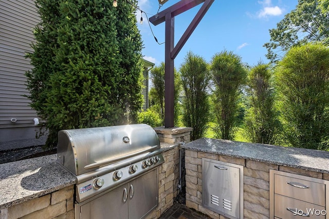 5362 Settlers Grove Rd NE, Belmont, MI 49306 - view of patio with exterior kitchen