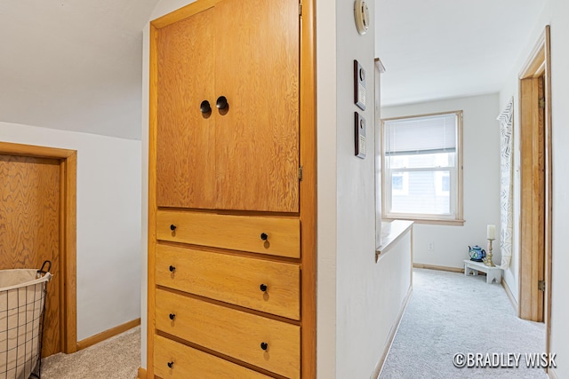 302 W 22nd St, Holland, MI 49423 - corridor with light colored carpet and baseboards