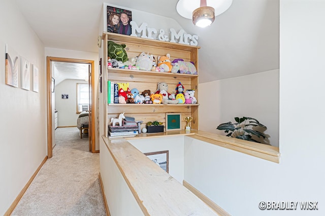 302 W 22nd St, Holland, MI 49423 - hallway with light carpet and lofted ceiling