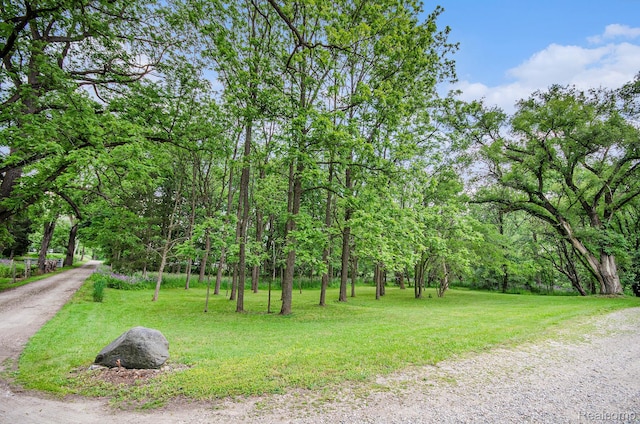 61995 Mount Vernon Rd, Washington, MI 48094 - photo 29