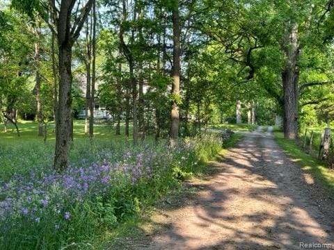 61995 Mount Vernon Rd, Washington, MI 48094 - photo 37