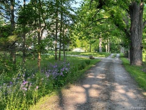 61995 Mount Vernon Rd, Washington, MI 48094 - photo 38