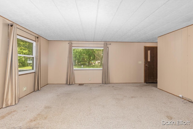 99 Aldon Ln, Ionia, MI 48846 - photo 8