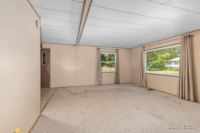 99 Aldon Ln, Ionia, MI 48846 - photo 9