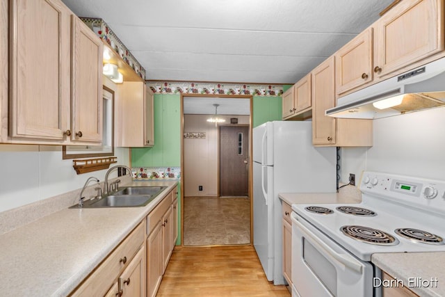 99 Aldon Ln, Ionia, MI 48846 - photo 12